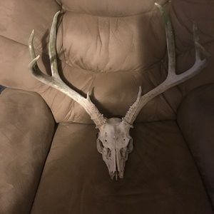 Meet your Posher, Marvin